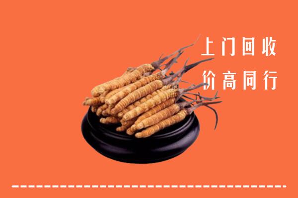 高价求购：遵义市回收散虫草