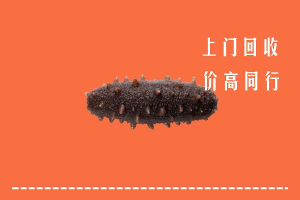 高价求购：遵义市回收海参