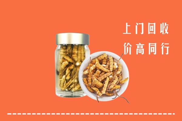 遵义市回收冬虫夏草
