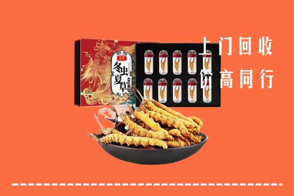 遵义市回收虫草